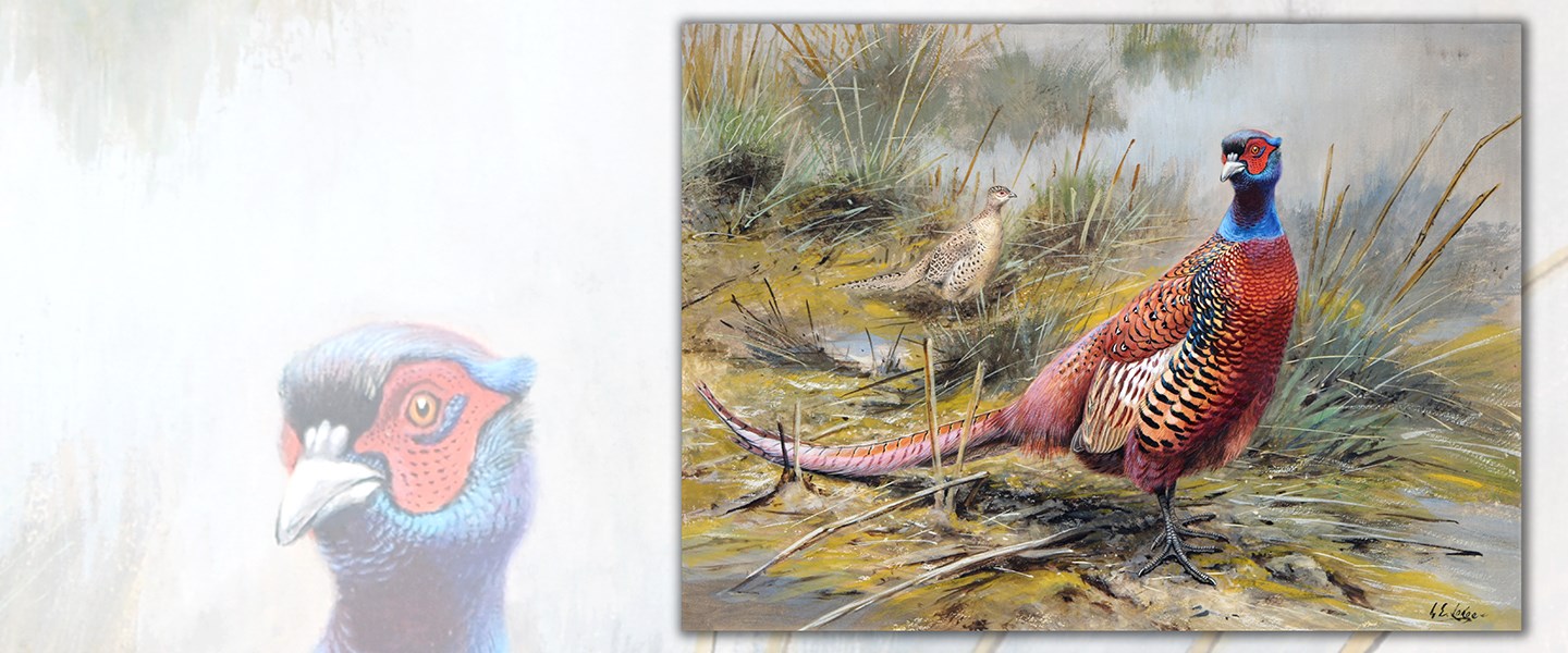 Pheasant painting sold price Slide Image